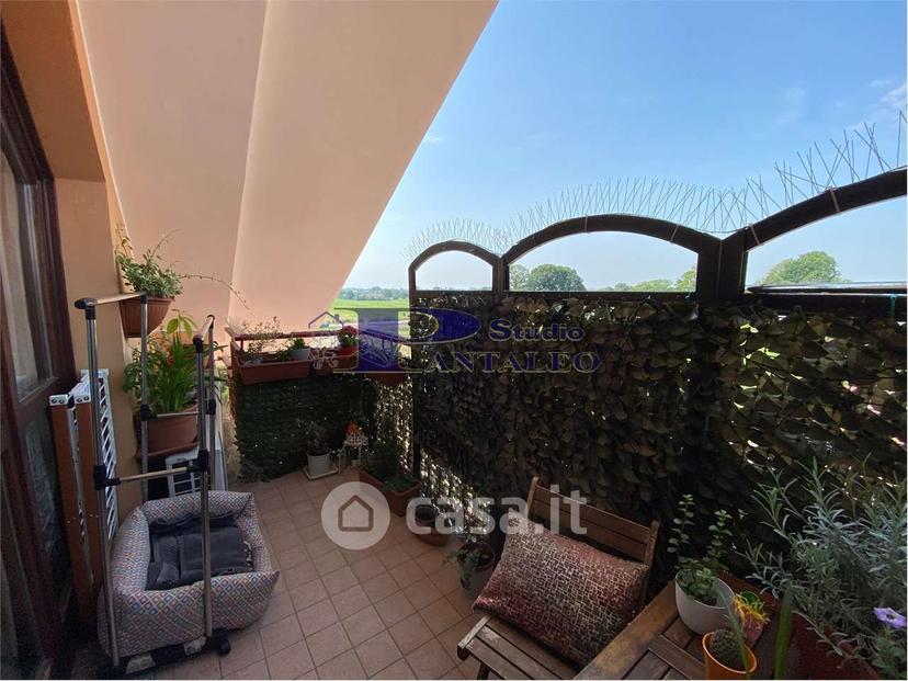Trilocale in Via Cassolnovo — foto 4 di 22