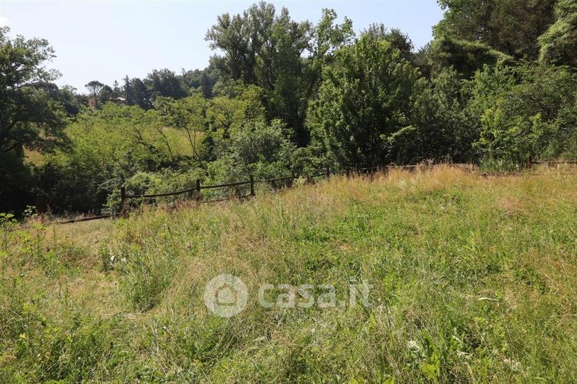 Appartamento in Via Sagginalese — foto 39 di 69