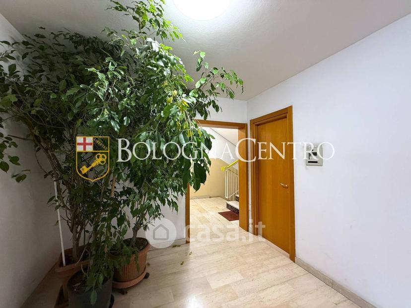Appartamento in Via Alceste de Ambris — foto 13 di 34