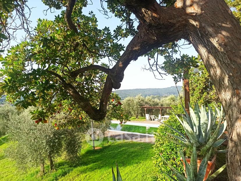 Villa in Via degli Arrighi 2 — foto 55 di 95