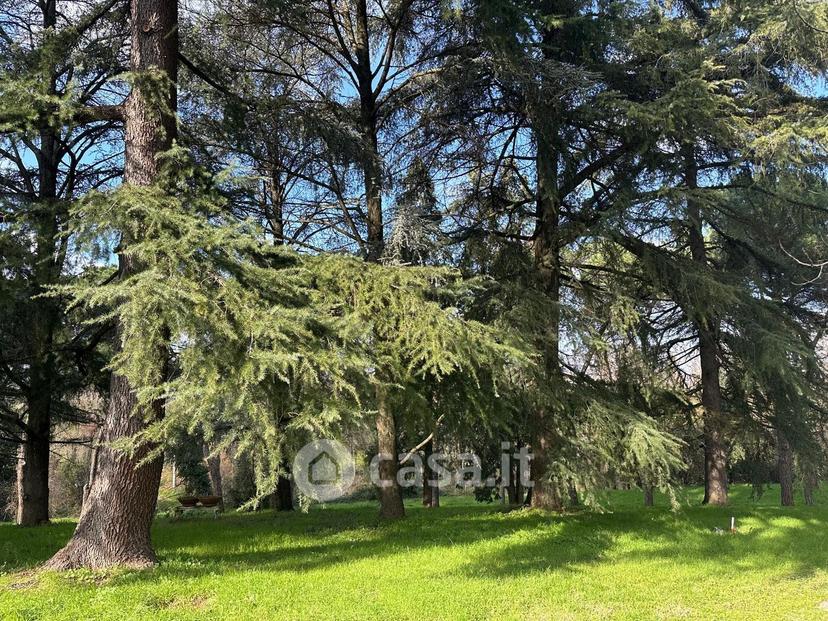 Villa in Via Martiri di Pizzocalvo — foto 10 di 28