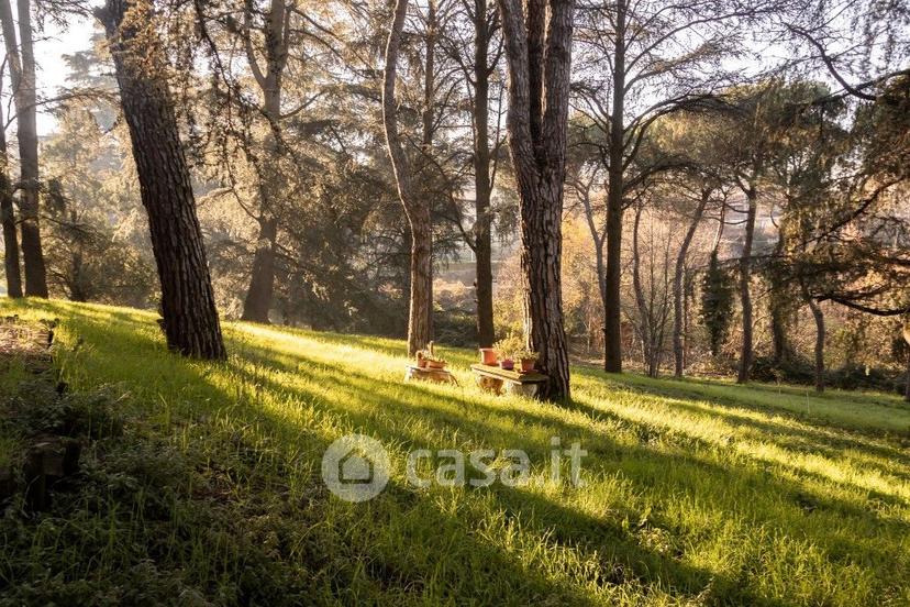 Villa in Via Martiri di Pizzocalvo — foto 25 di 28