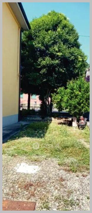 Trilocale in Via Brucalassi — foto 27 di 32