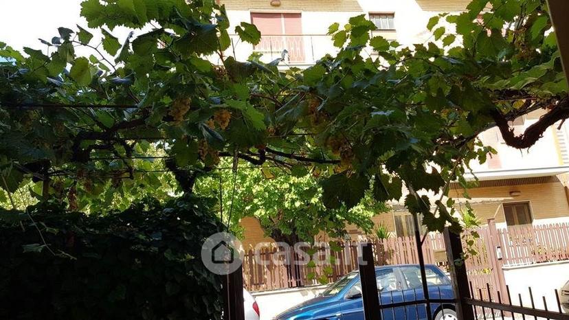 Trilocale in Via Cossignano — foto 11 di 15