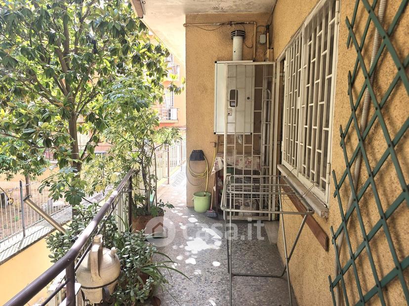 Trilocale in Viale Adriatico — foto 4 di 30