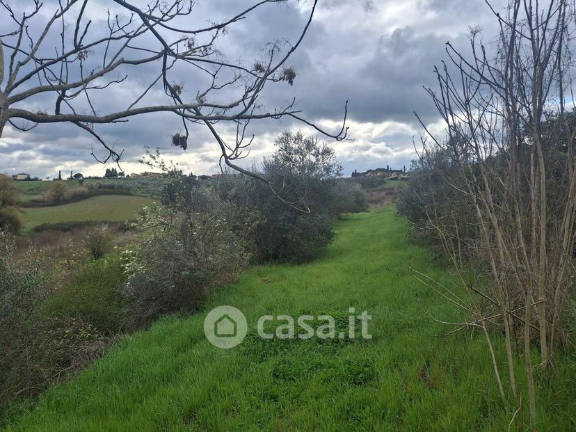Appartamento in Via Maremmana — foto 13 di 24