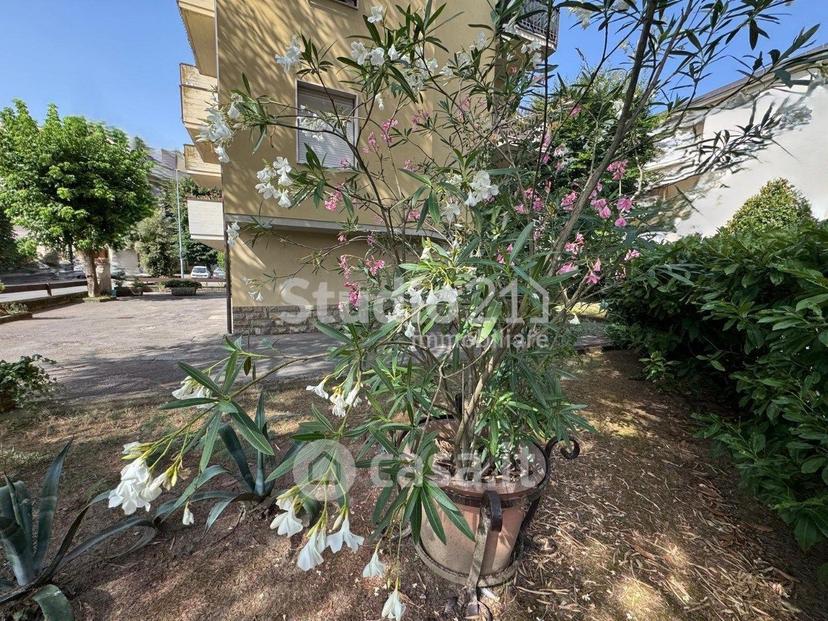 Appartamento in Via Borratino Vallerempoli — foto 14 di 21