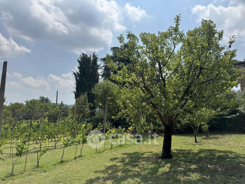 Appartamento in Via Montebello — foto 11 di 44