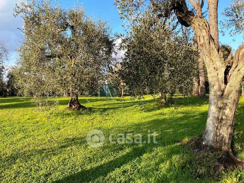 Villa in Via degli Arrighi 2 — foto 13 di 95