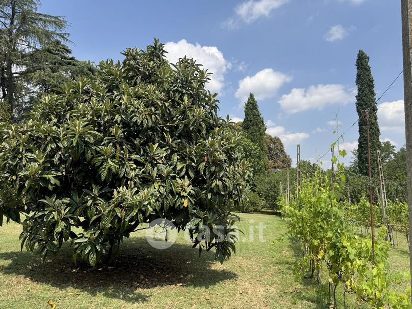 Appartamento in Via Montebello — foto 29 di 44