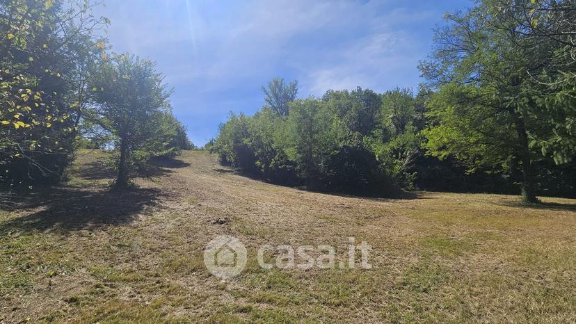 Villa in Via Zena — foto 4 di 66