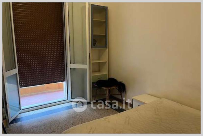 Trilocale in Via Dionisio Calvart — foto 24 di 33