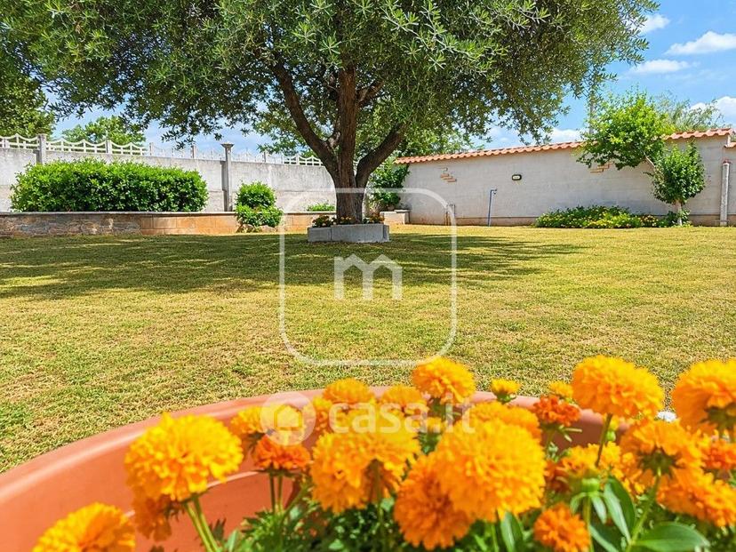 Villa in Via Colle Barco — foto 9 di 14