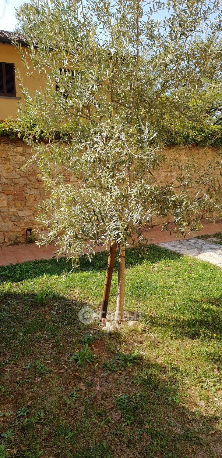 Trilocale in Via Chiantigiana Per Ferrone 125 — foto 10 di 20