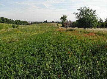 Rustico, Casale in Vendita in Via Panzacchi a Ozzano dell'Emilia