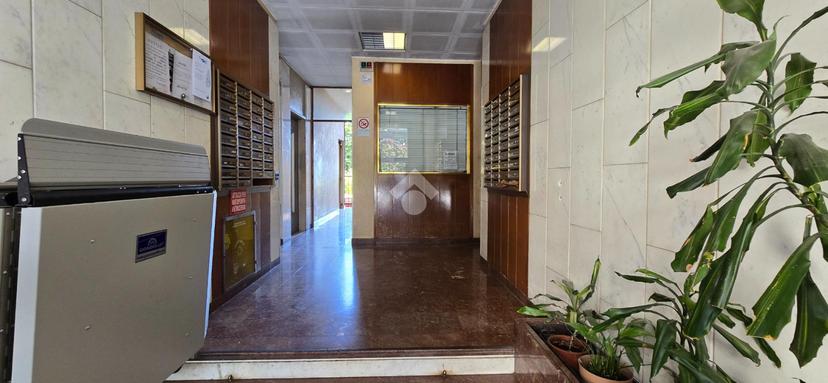 Monolocale in Via Fucini 6, Cinisello Balsamo — foto 3 di 5