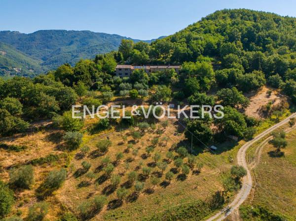 Terratetto plurifamiliare in Frazione Paterno, Vicchio — foto 5 di 5