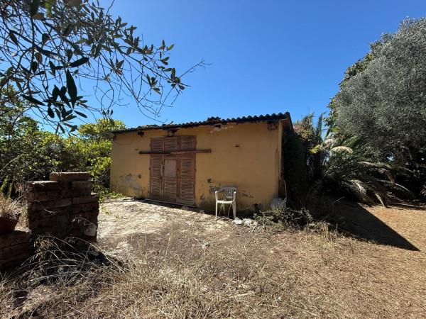 Casale in Via Campo dei Fiori 3, Nettuno — foto 3 di 5