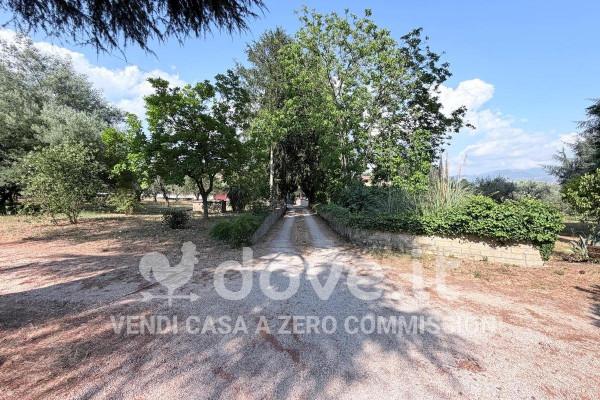 Villa in Via di Contrada San Antonio 2, Velletri — foto 4 di 5
