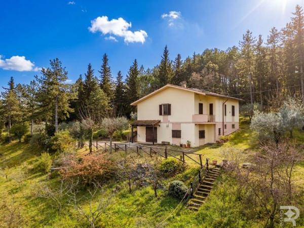 Villa in Strada Provinciale di San Donato in Poggio, Barberino Tavarnelle — foto 5 di 5