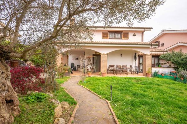 Villa bifamiliare in Via delle Betulle, Anguillara Sabazia