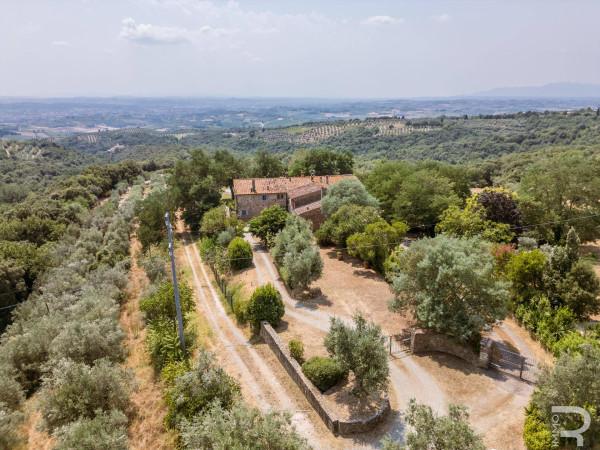 Rustico in Località Gasparri, Capraia e Limite — foto 5 di 5
