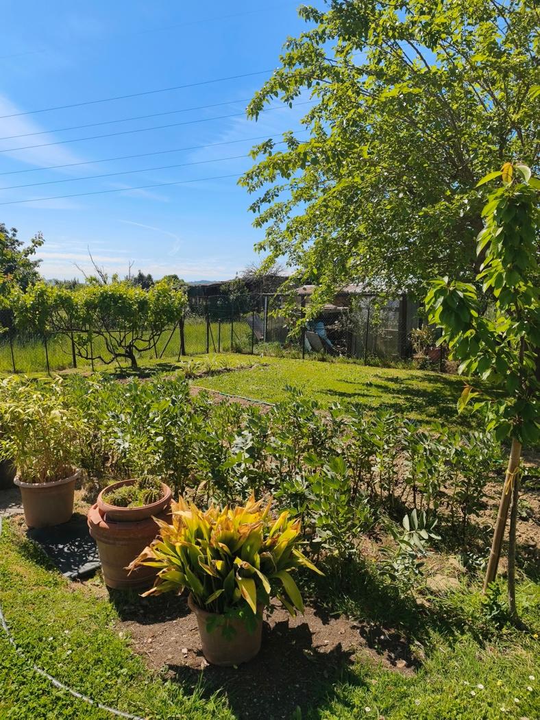 Casa indipendente in Via Bardazzi 46, Signa — foto 2 di 5