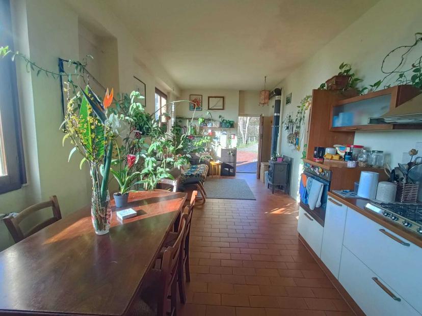 Rustico, Rufina