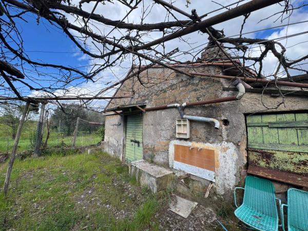Rustico in Via Colle Pallavicini, Zagarolo — foto 5 di 5