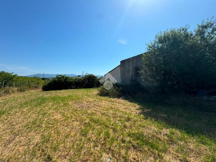 Rustico in Via degli Olmi, San Cesareo — foto 3 di 5