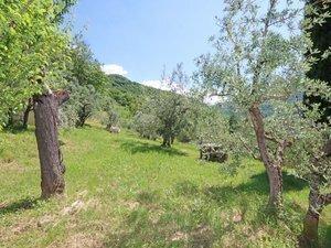 Rustico, Londa — foto 5 di 5