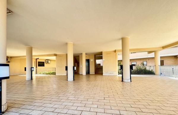 Trilocale in Viale San Lorenzo, Ardea — foto 3 di 5