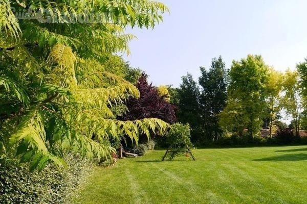 Villa, Valsamoggia — foto 2 di 5