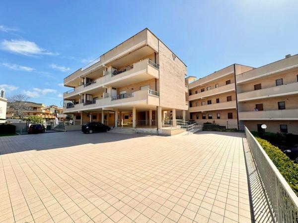 Trilocale in Viale San Lorenzo, Ardea