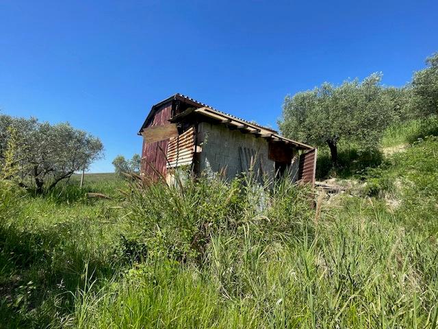Rustico in Via Salincerqua 00, Mentana — foto 5 di 5