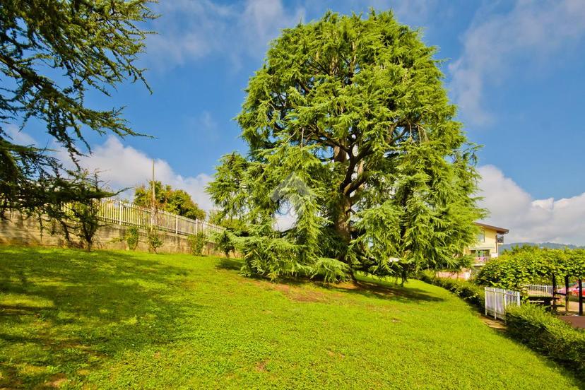 Villa in Strada Valle Sauglio 31, Pecetto Torinese — foto 3 di 5