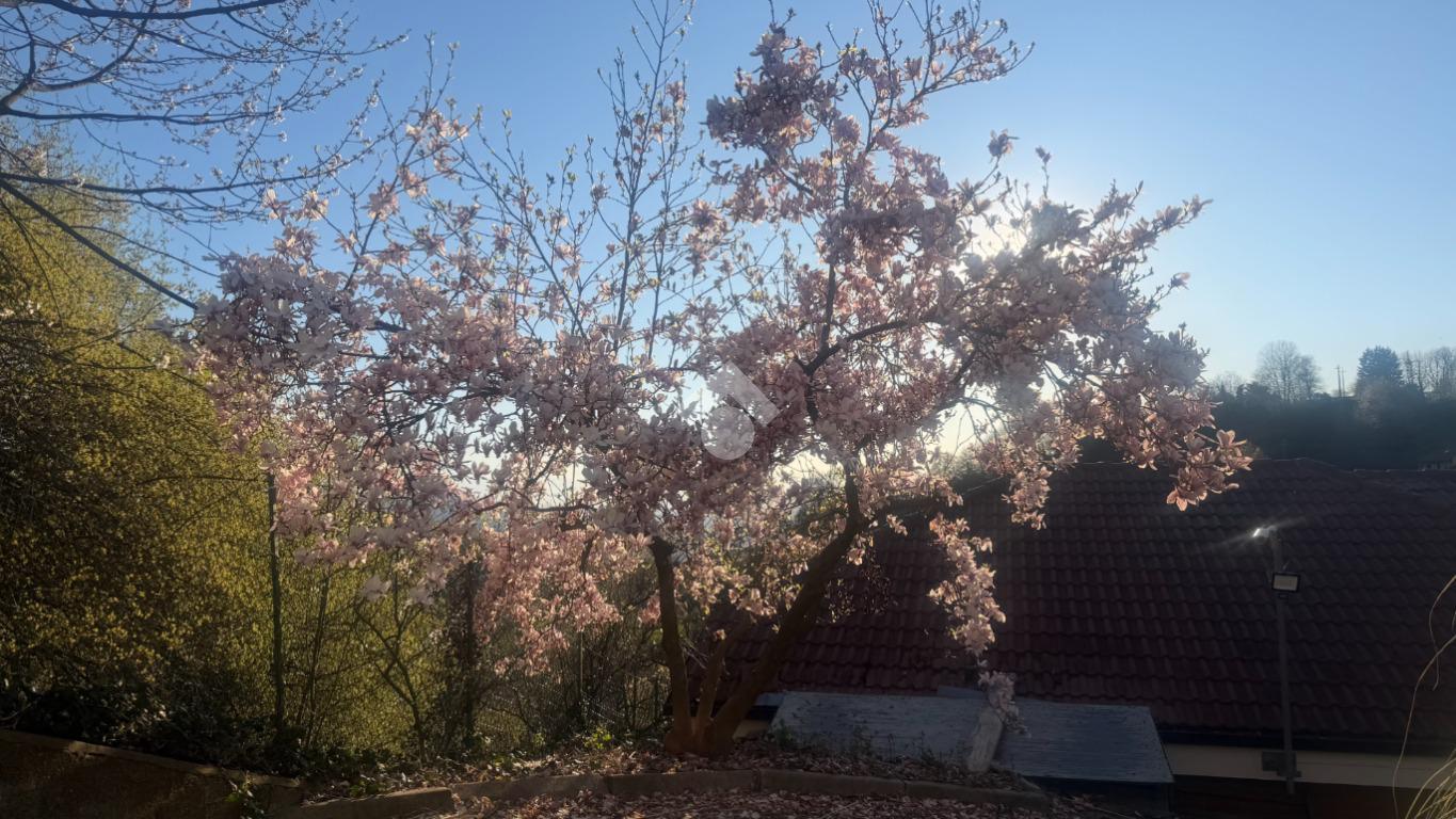 Villa in Strada San Raffaele 8, Castagneto Po