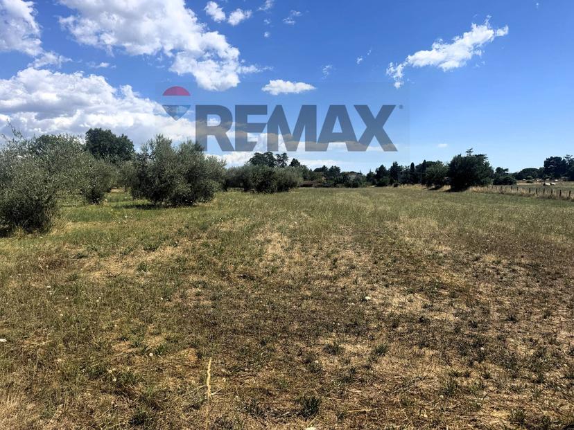 Villa in Via Romana 190/a, Mazzano Romano — foto 3 di 5