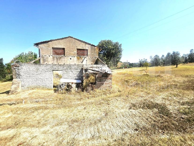 Rustico, Empoli — foto 5 di 5