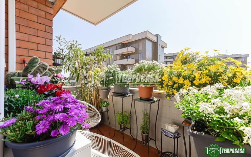 Trilocale in Via Rodolfo Morandi, San Donato Milanese — foto 2 di 5