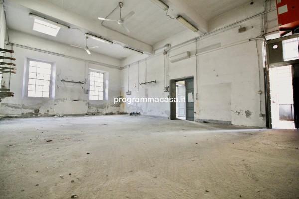 Loft, Segrate