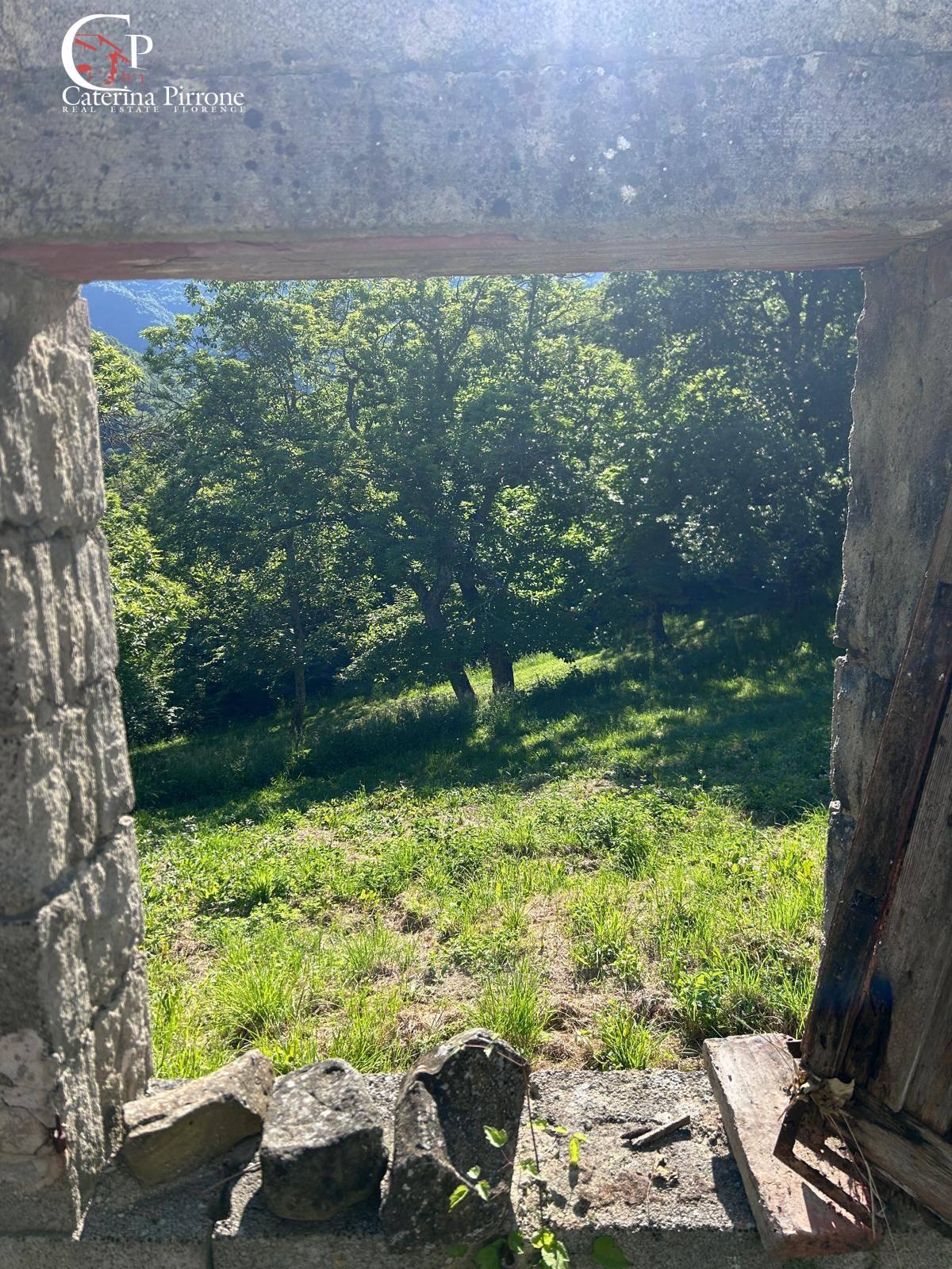 Rustico in Località Caprile Snc, San Godenzo