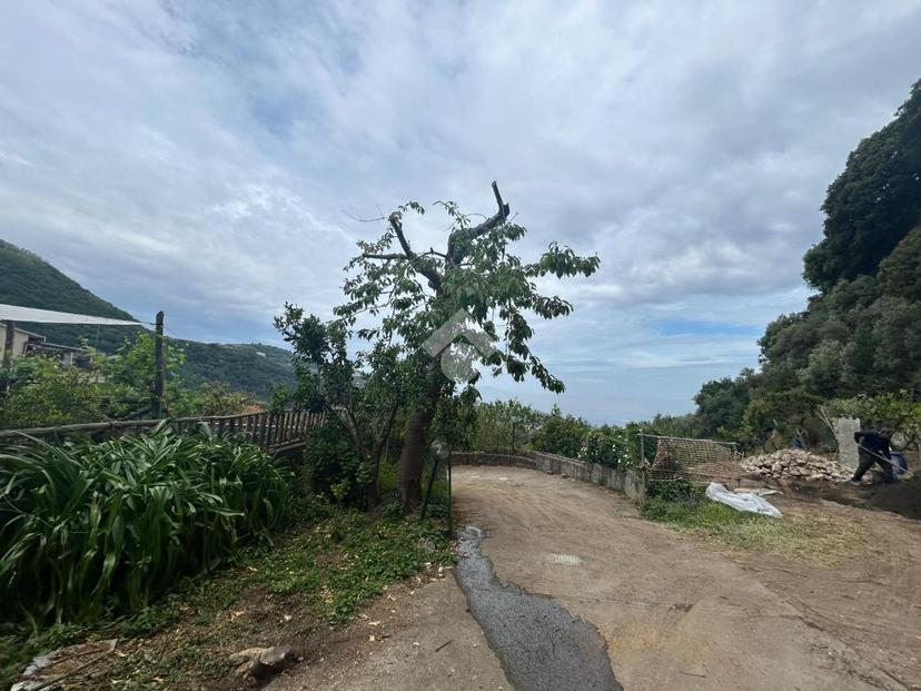 Bilocale in Via Rivezzoli 2, Sorrento — foto 2 di 5