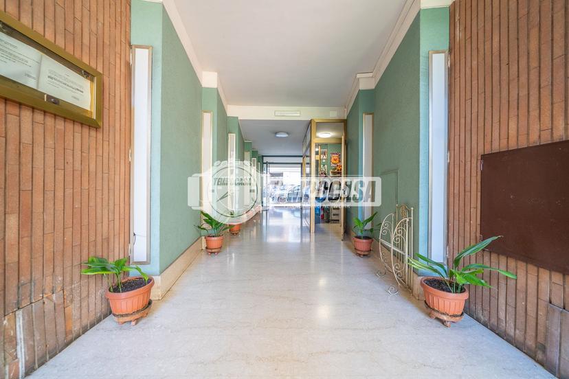 Trilocale, Roma