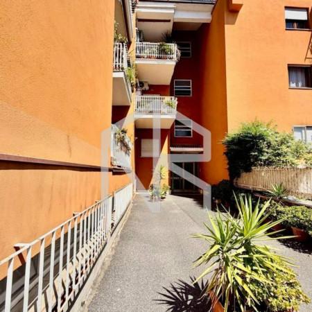 Trilocale in Via Trilussa 123, Albano Laziale