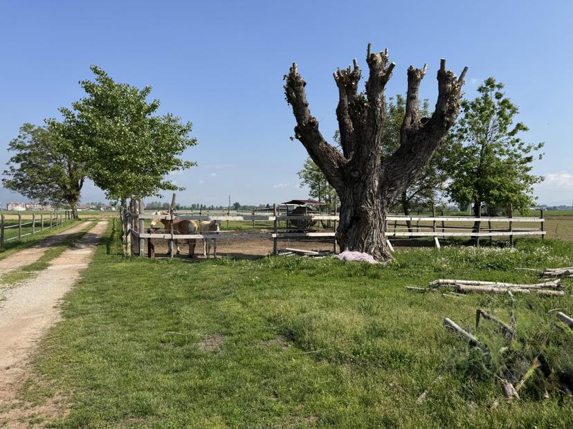 Cascina in Scalenghe Regione Colletrale 36, Scalenghe — foto 2 di 5
