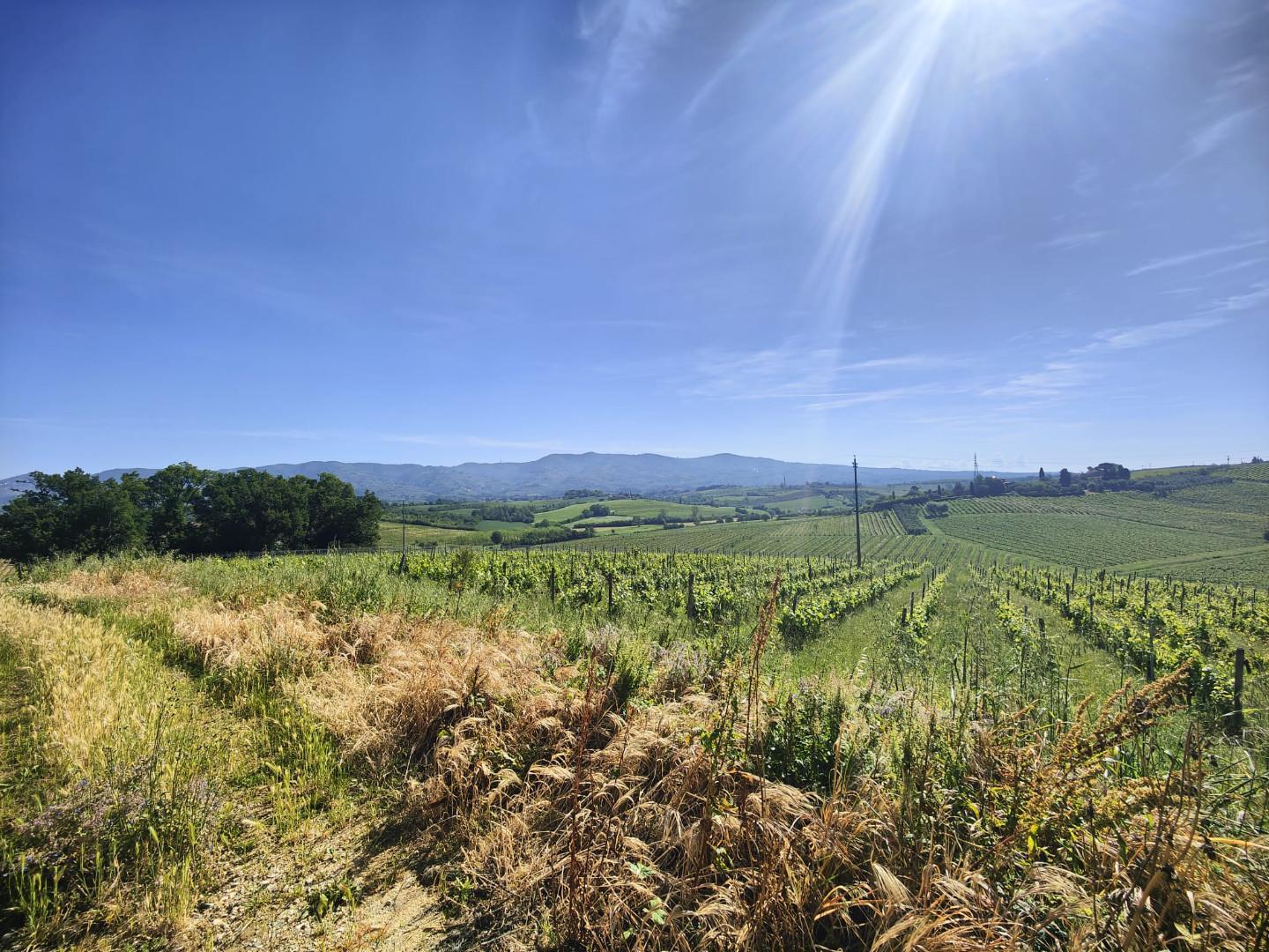 Casale, Cerreto Guidi
