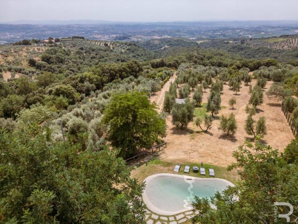 Rustico in Località Gasparri, Capraia e Limite — foto 3 di 5