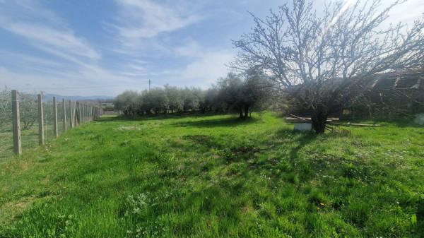 Villa in Via della Vetrice, San Cesareo — foto 3 di 5