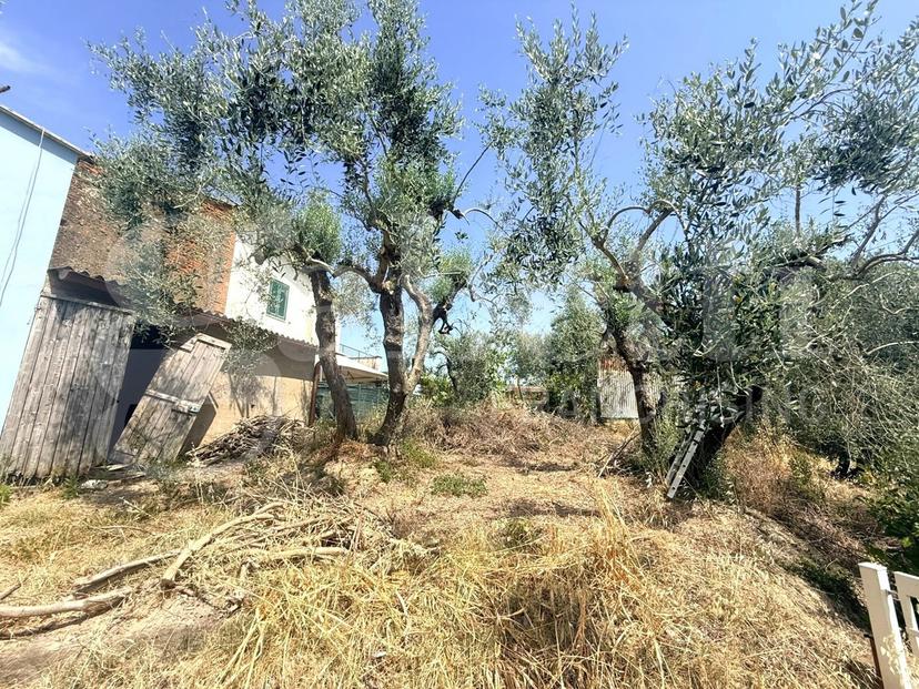 Rustico, Empoli — foto 4 di 4